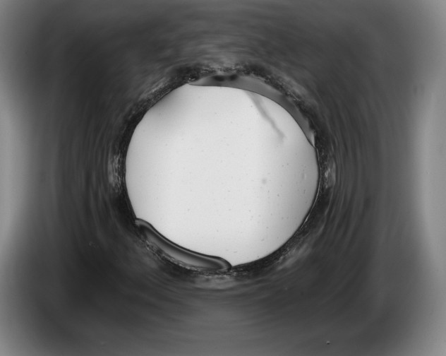 X0000083531156200703091506