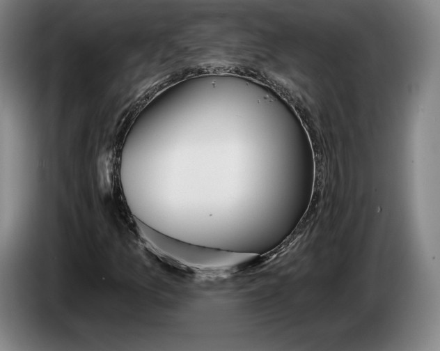 X0000083531157200703091506