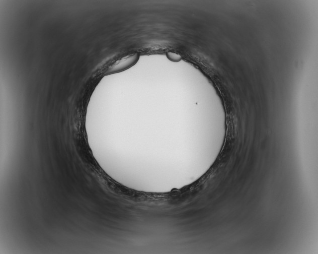 X0000083531158200703091506