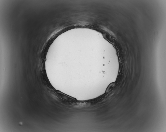 X0000083531160200703091506