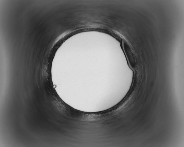 X0000083531163200703091506