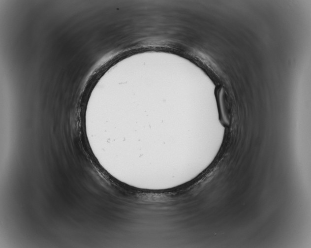 X0000083531164200703091506