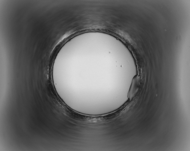 X0000083531165200703091506