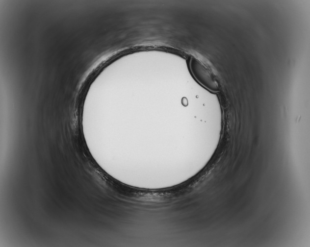 X0000083531167200703091506