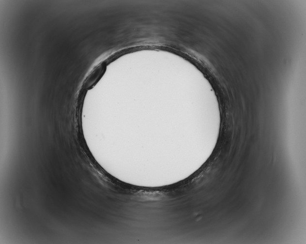 X0000083531168200703091506