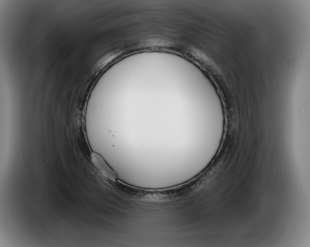 X0000083531169200703091506