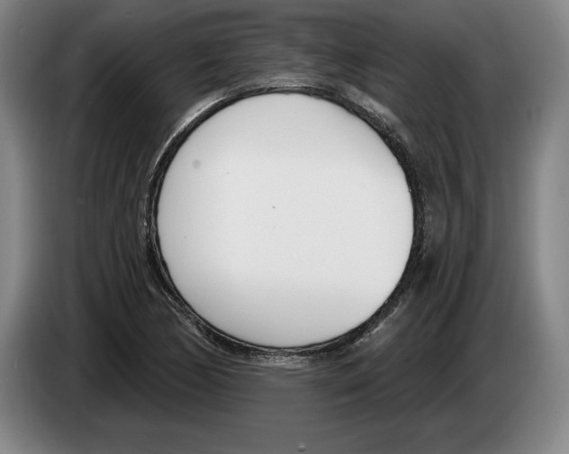 X0000083531170200703091506