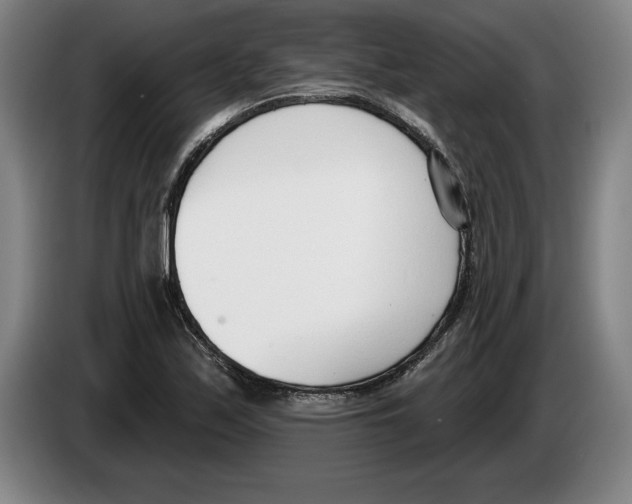 X0000083531171200703091506