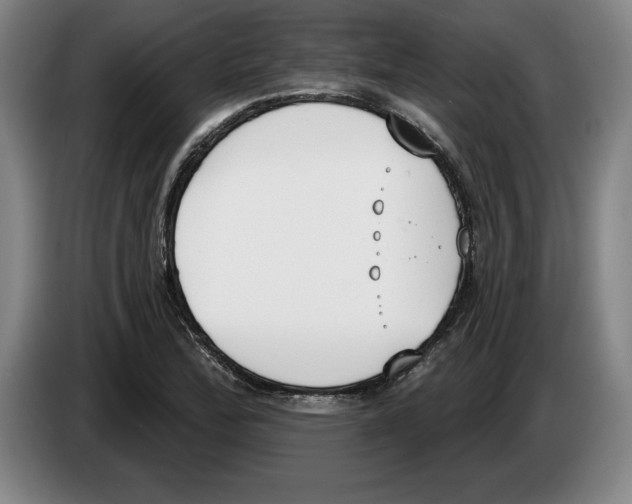 X0000083531172200703091506