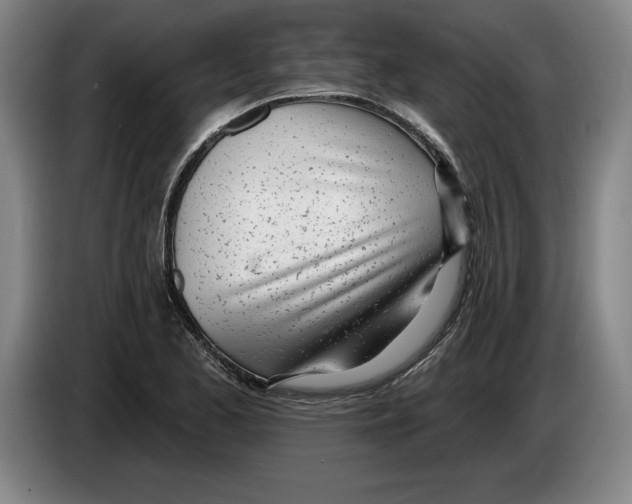 X0000083531173200703091506