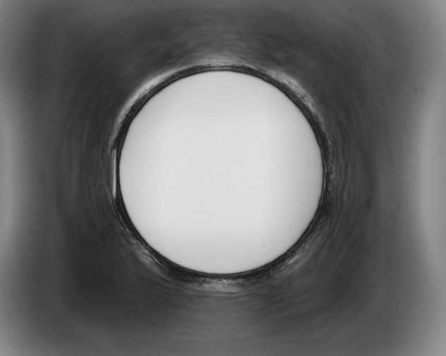 X0000083531175200703091506