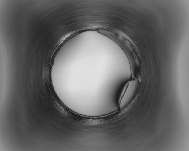 X0000083531177200703091506