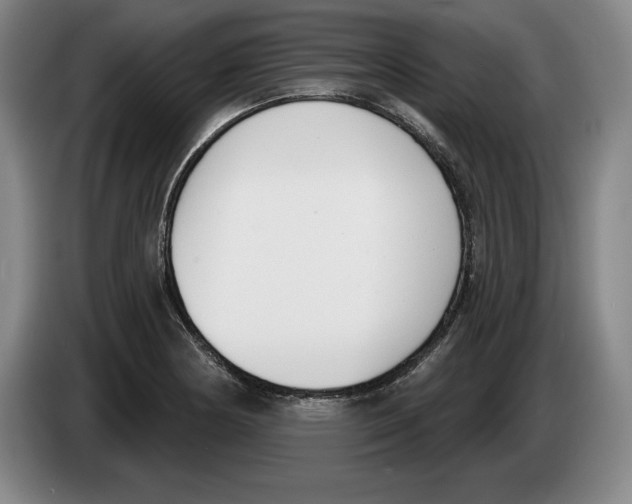 X0000083531178200703091506