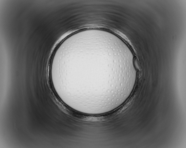 X0000083531179200703091506