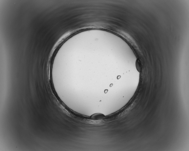 X0000083531180200703091505