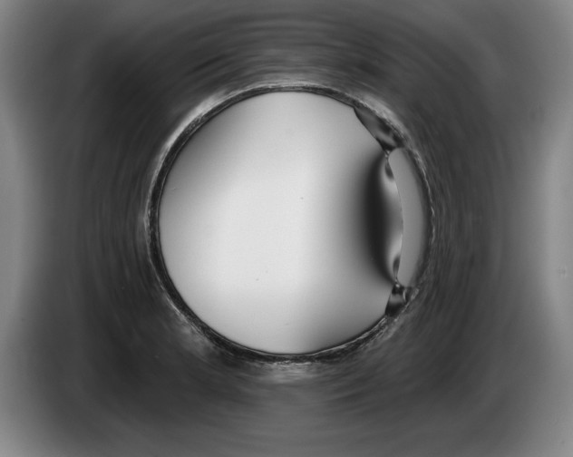 X0000083531181200703091505