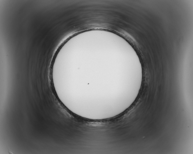 X0000083531182200703091505