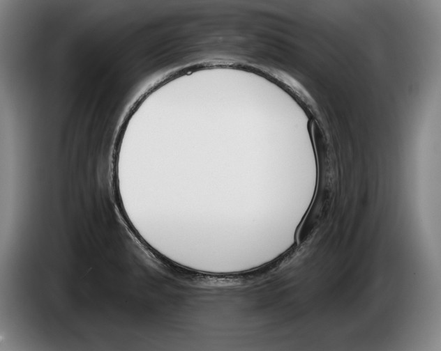 X0000083531183200703091505