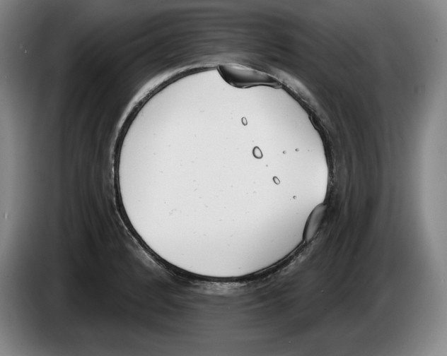 X0000083531184200703091505