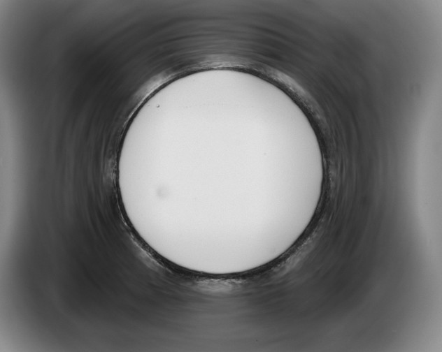 X0000083531185200703091505