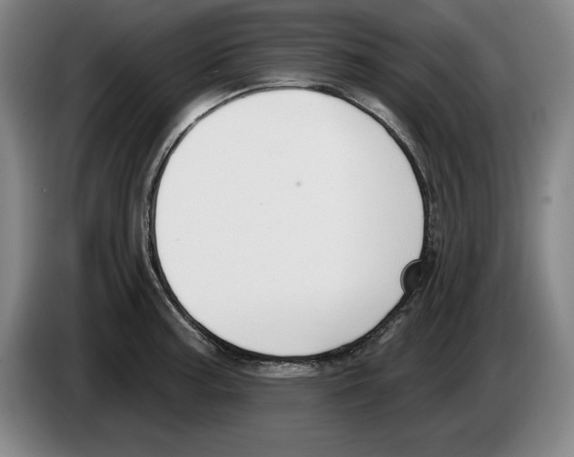 X0000083531187200703091505