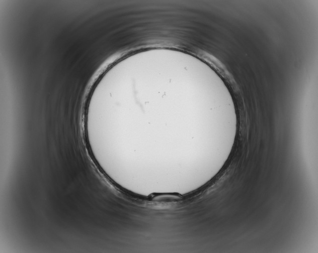 X0000083531188200703091505