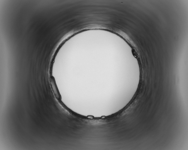 X0000083531189200703091505