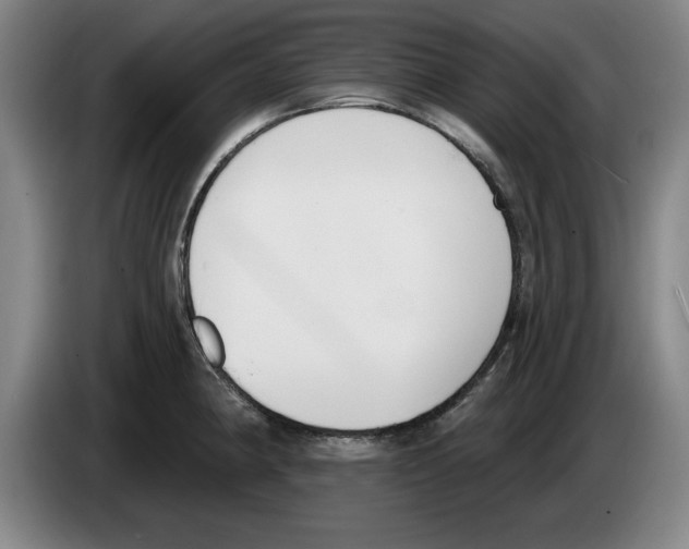 X0000083531190200703091505