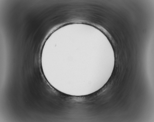 X0000083531191200703091505