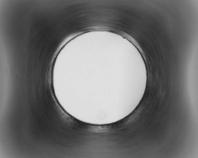 X0000083531195200703091505