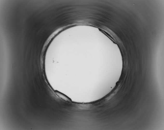 X0000083531196200703091505