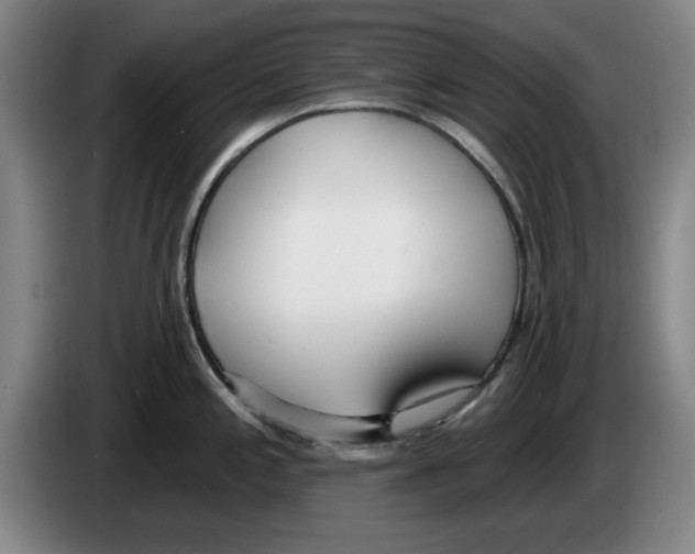 X0000083531197200703091505