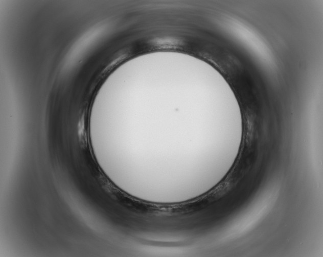 X0000083531198200703091505