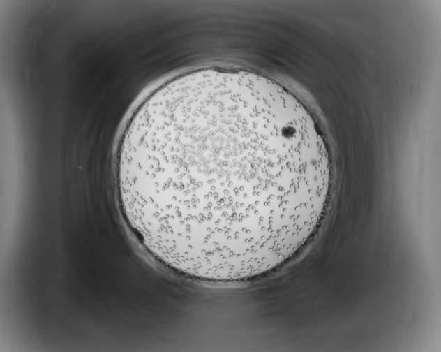 X0000083531200200703091505