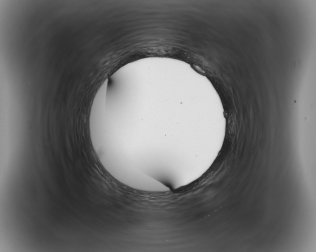 X0000083531202200703091505