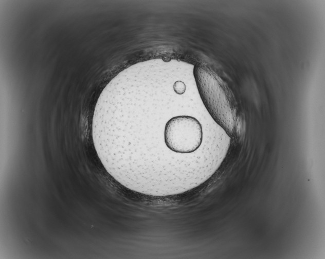 X0000083531203200703091505