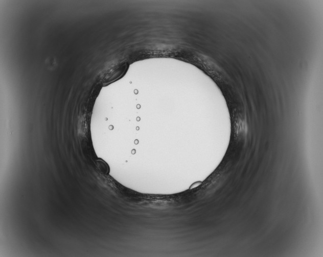 X0000083531204200703091505