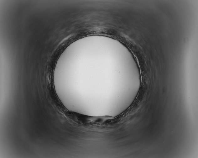 X0000083531206200703091505