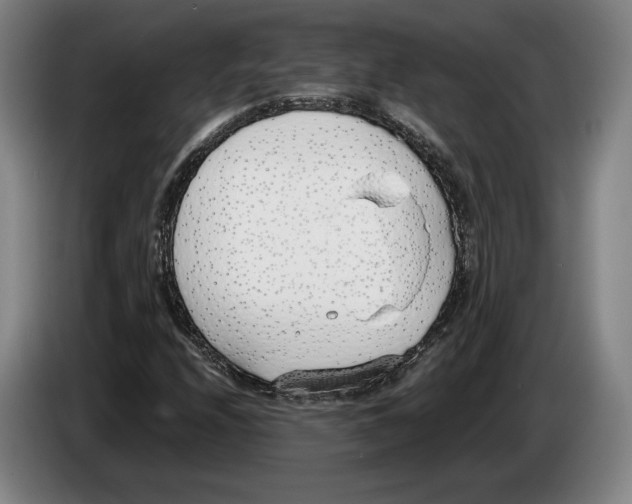 X0000083531208200703091505