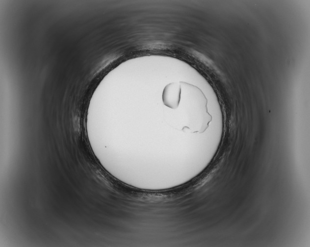 X0000083531209200703091505