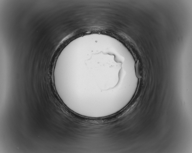 X0000083531210200703091505