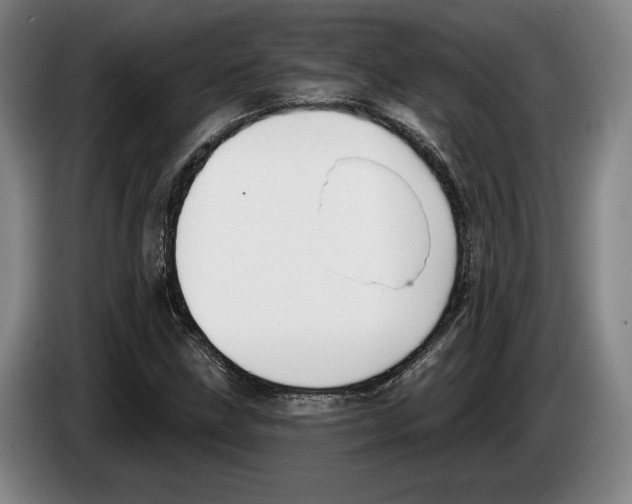 X0000083531211200703091505