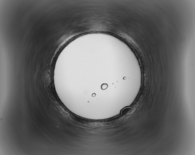 X0000083531212200703091505