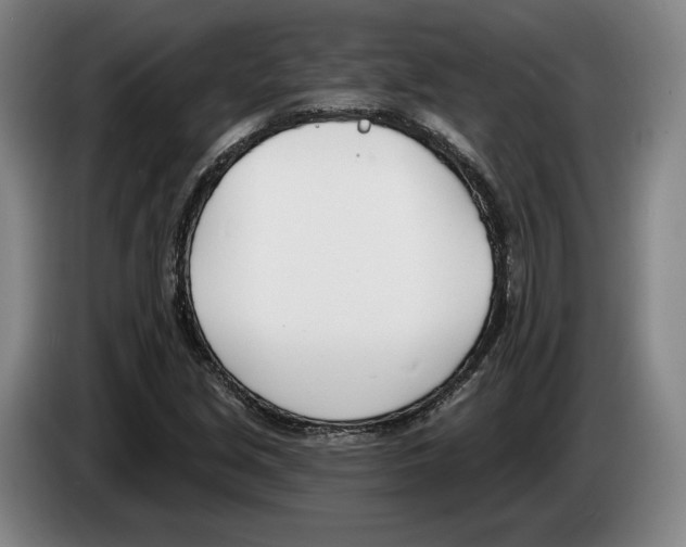 X0000083531213200703091505