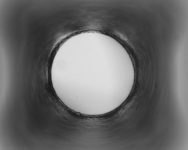 X0000083531214200703091505