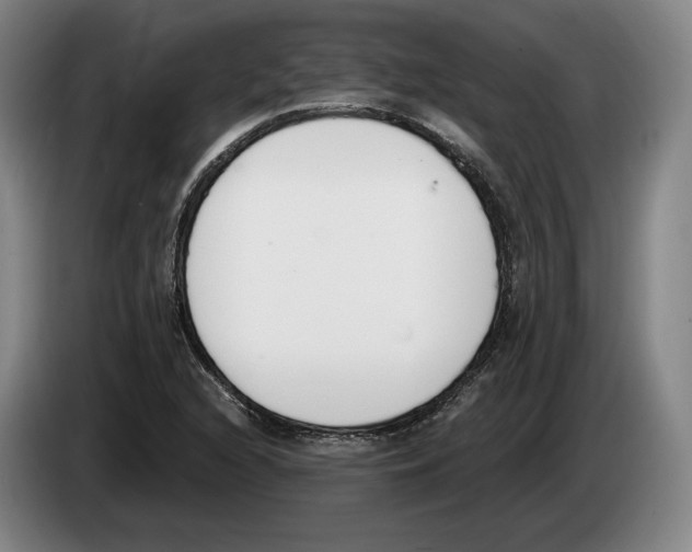 X0000083531216200703091505