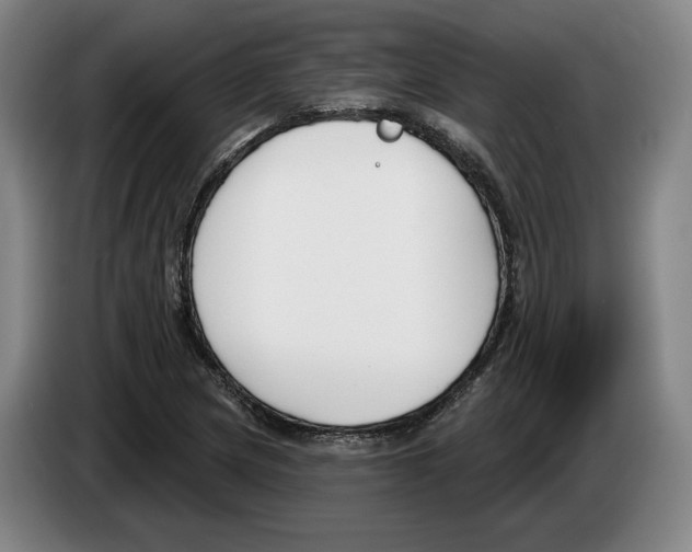 X0000083531217200703091505