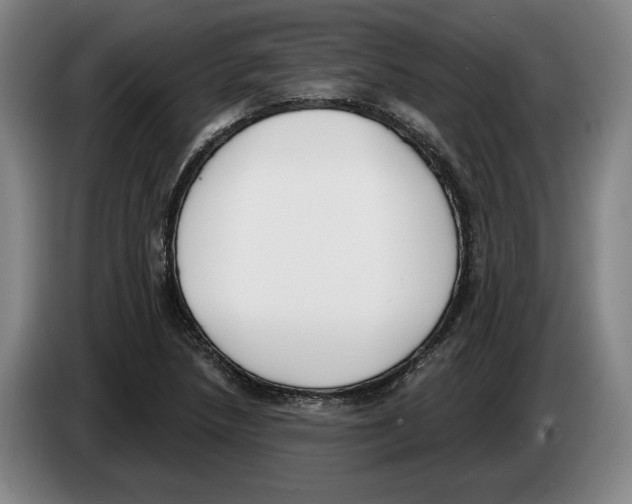 X0000083531218200703091505