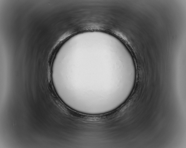 X0000083531219200703091505