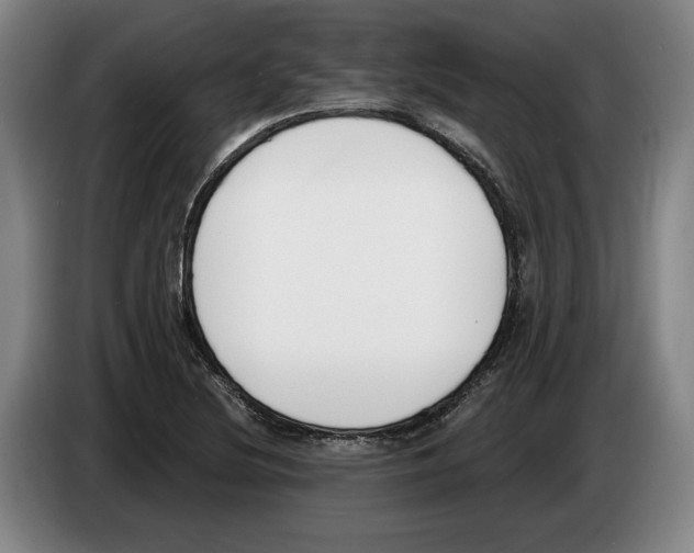 X0000083531220200703091505